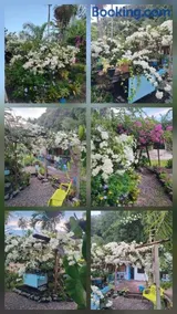 Chez Anna et Hugues - Image 3