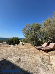 Orris Seaside - Image 2