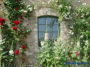 Ferienwohnungen im Bauernhaus _ Ob - Image 4