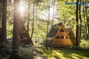 Forest Camping Mozirje - Image 3
