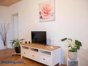 Ferienwohnung-Im Alpenblick-Wangen - Image 2