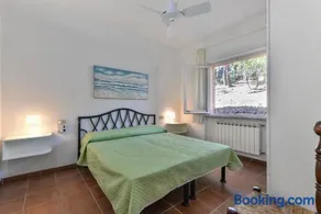 Il Papavero - Image 1