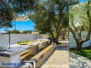 Cocotrullo - Image 3