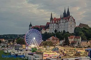 zu den blauen Schwertern - Image 2