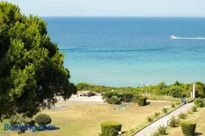 Buena Vista - San Mames - Image 1