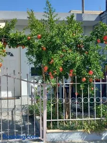 Anastasia’s Home - Image 1