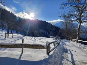 Spettacolare appartamento adatto alle famiglie con sauna, griglia e giardino - Image 3