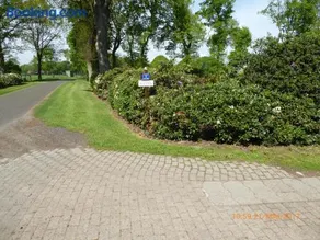 Schmidtfewo Moorgeist - Image 4