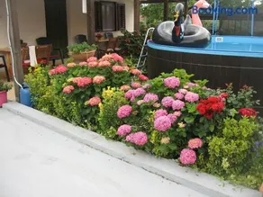 Apartments Adelita - Image 5