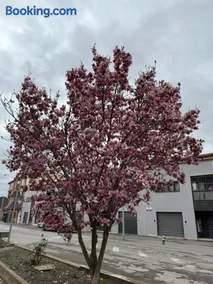 Loft El Carmen - Image 2