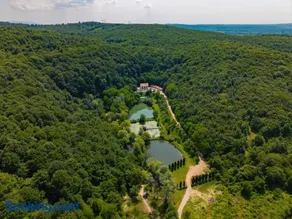 Domeniul Caprioara - Image 1