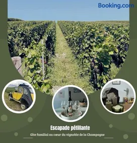 Gîte familial dans le vignoble champenois - Image 1