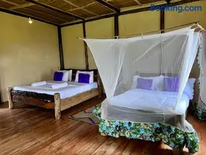 Migogo Gorilla Lodge - Image 4
