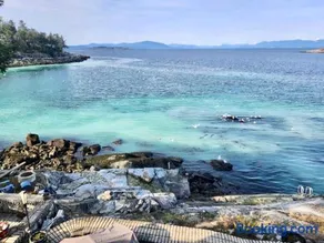 Endless Coastal Views Peaceful B&B in Nanoose Bay - Image 1