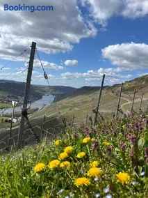 Apartment an der Mosel 1 - Image 3