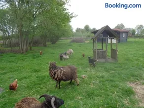 B&B De Boeren Zwaluw - Image 2