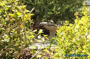 Telegraph Cottage - Image 4