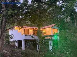 Reserva de Gomalu - Image 2
