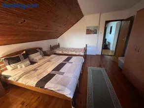 Vila Lenka Sokobanja - Image 1