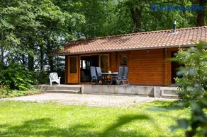 Knus houten huisje voor stellen en gezinnen met ruime tuin op de Veluwe - Image 1