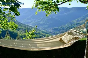 Solar da Castanha - Forest House - Image 3