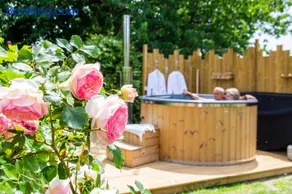 Cabane en bois avec bain nordique - Image 1