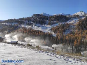 LES CHATAIGNIERS GRIS - Image 1