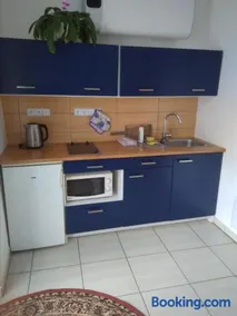 Dvůr v Borovné - Image 1