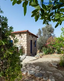 Elisavi Kanakis - Image 5