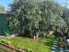 Casa Vacanze Collina del Lago - Image 2