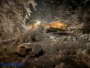 Pine Hill - Image 2