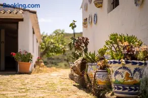 Finca Santa Teresa, Casa La Higuera - Image 2