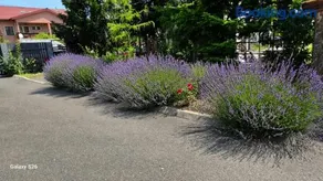 Confort INN - Image 3