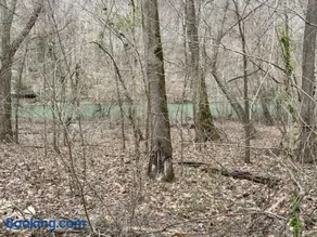 No Wake Zone - Image 2