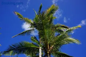 Las Palmeras - Image 2
