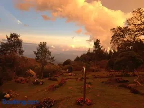 Spring Garden - Image 2