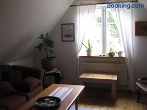 Stuga i skogsbryn - Image 1