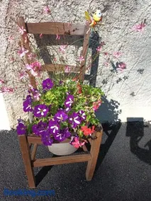 Gîte de La Saugiat - Image 4