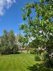 Le vieux presbytère - goûtez à la tranquillité - Image 3