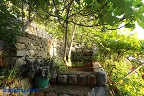 Accommodation Salvia - Image 3