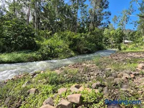 RESET Tallebudgera Valley - Image 4