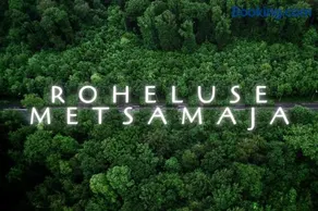 Roheluse metsamaja vaikne loodusmaja saunaga - Image 1