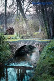 Le moulin de Masseilles - Image 2