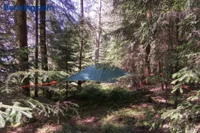 Baumzelt im Wald - Image 1