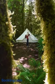 Wander Camp Olympic - Image 3