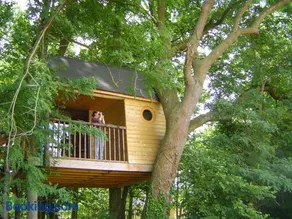 La Cabane aux Secrets - Domaine du Der, au milieu de nulle part - Image 1