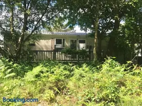 Forest View at Oakdene Forest Park - Leisure Passes Included! - Image 1