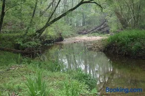 Secluded Woodland Cabin for an Authentic Off-Grid Nature Escape in Fruithurst, Alabama - Image 5