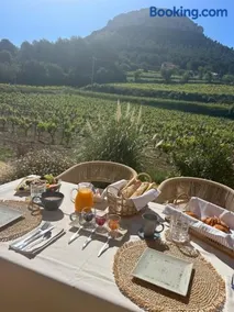 Côté vignes cassis - Image 2