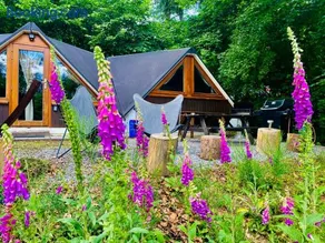 Chambre avec jacuzzi ou Chalets dans les bois - Image 5